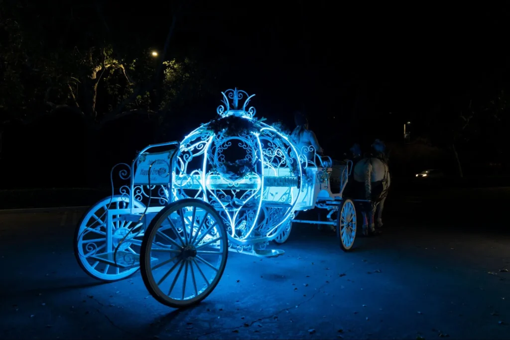 Fairy-tale-style illuminated carriage at night wedding.