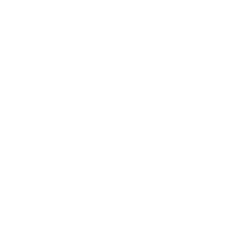 verizon