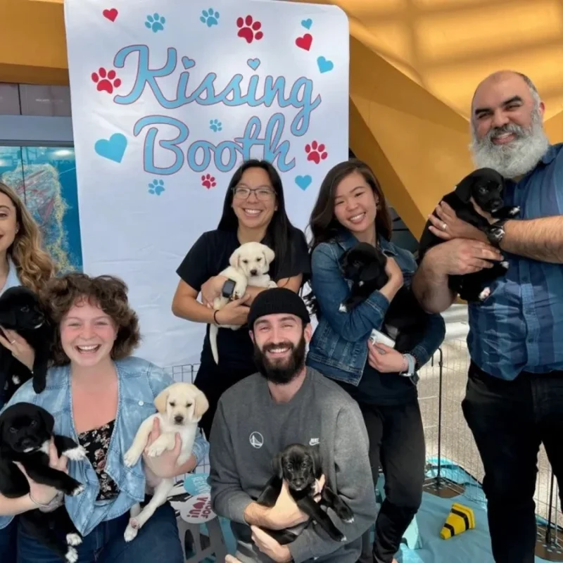 Puppy kissing booth corporate event activity with employees holding puppies, creating an engaging and stress-relieving experience